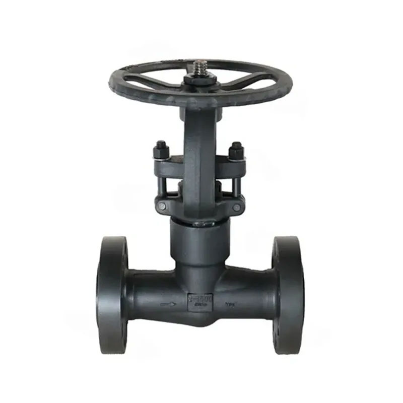 Stainless Steel Threaded Globe Valve